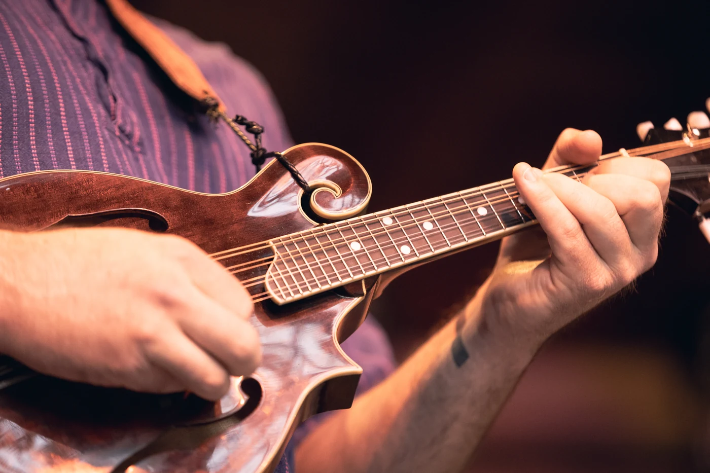 Festival musician