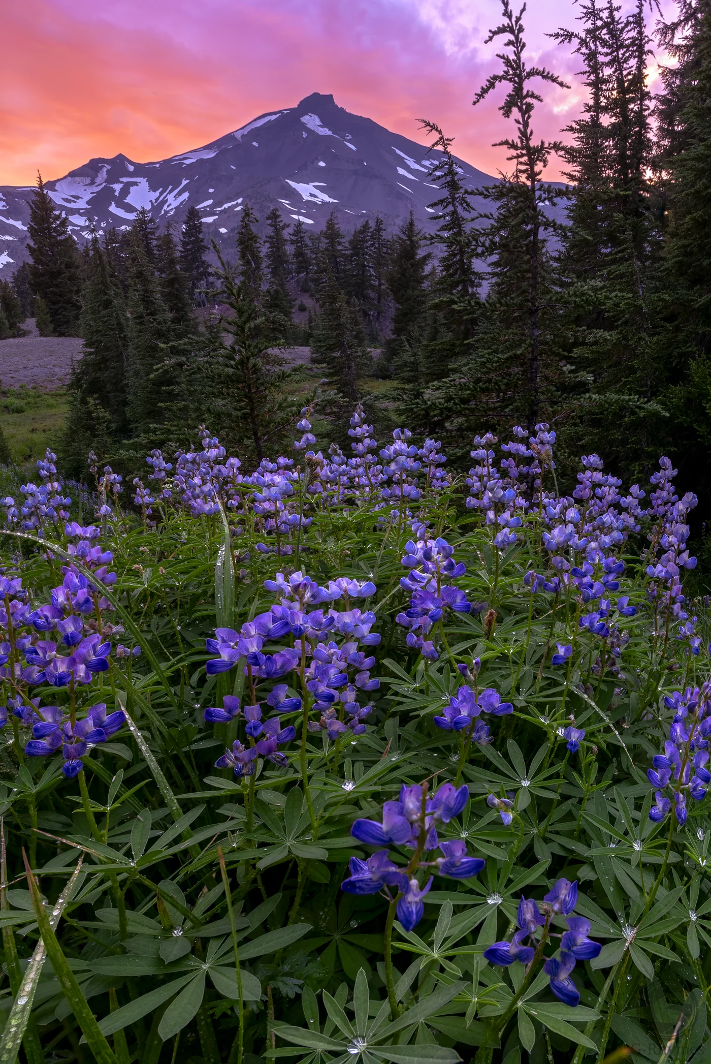 Landscapes 5