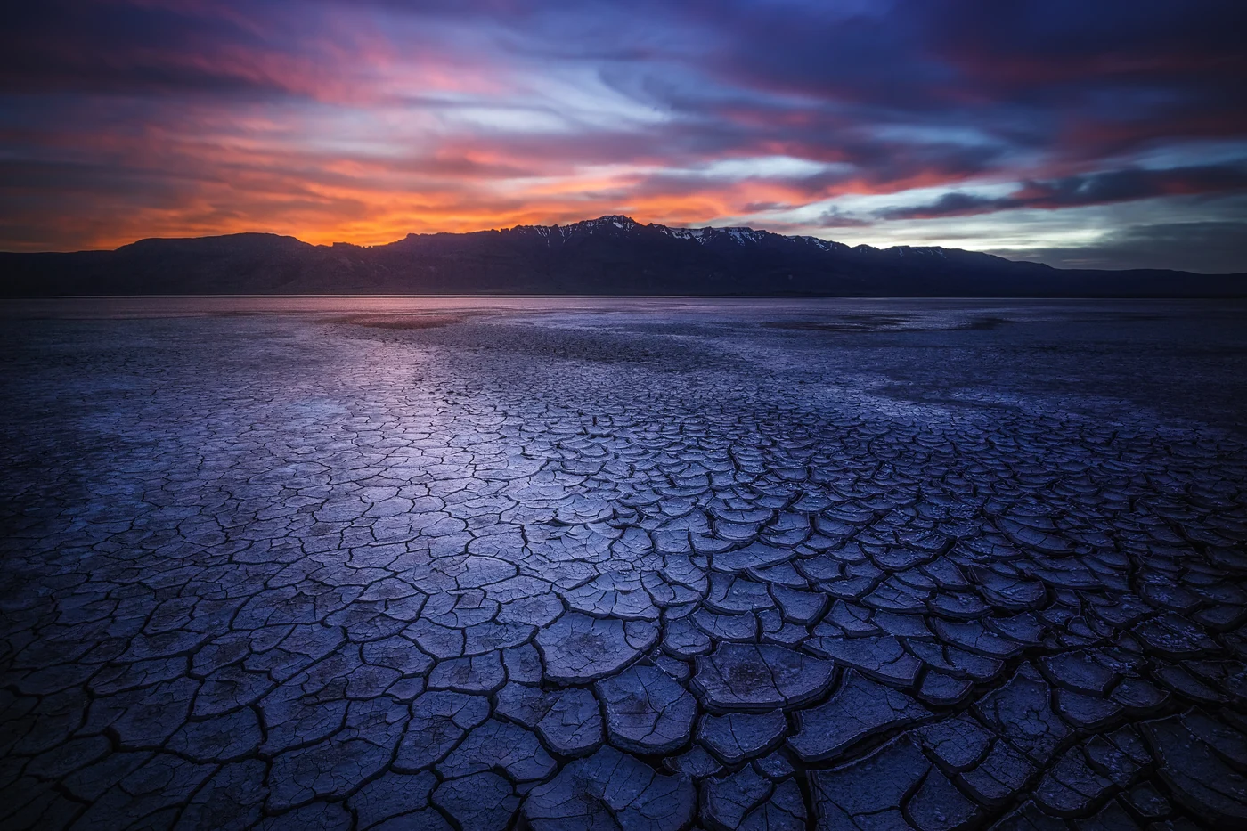 Landscapes 7