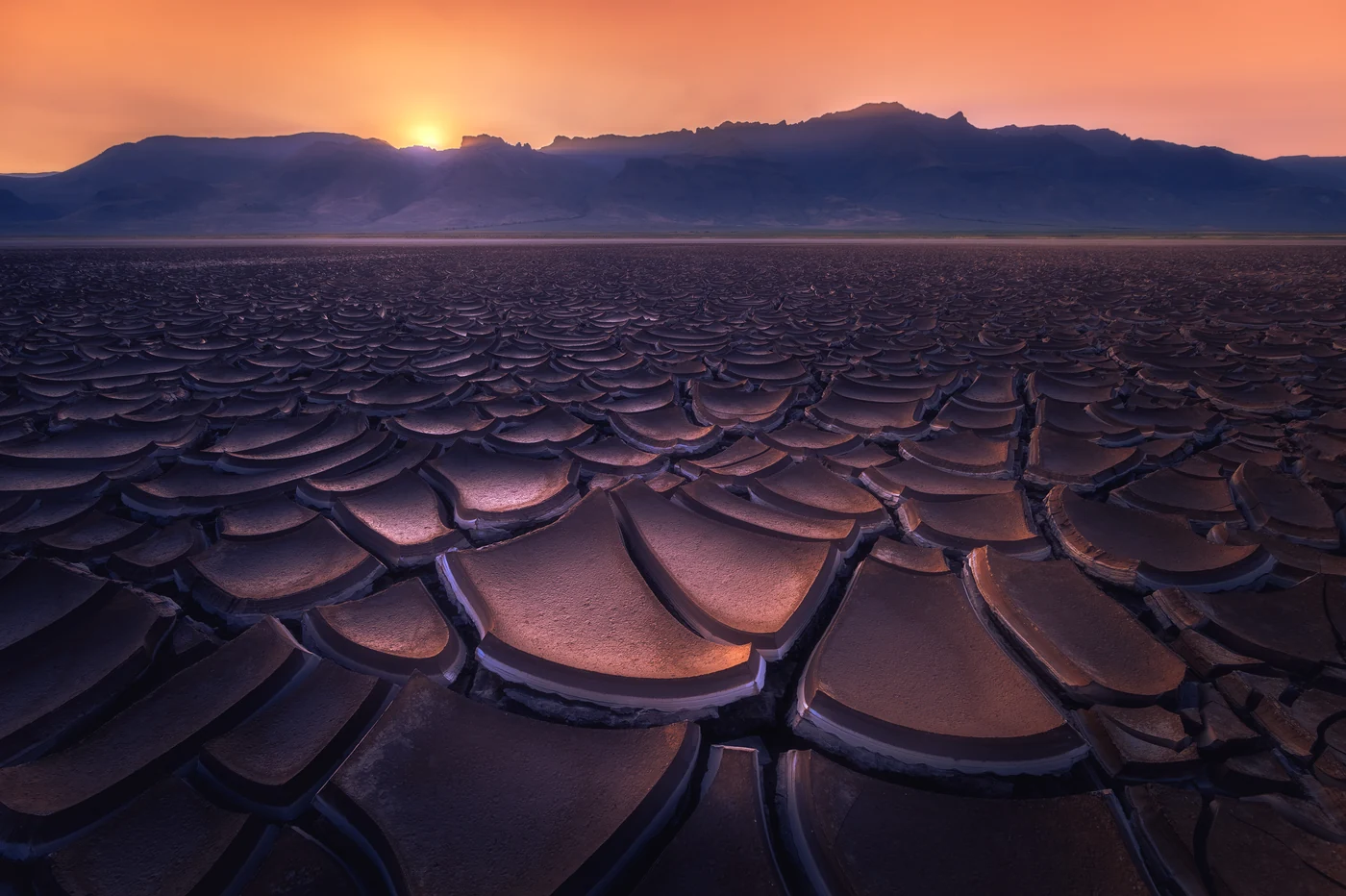 Landscapes 8