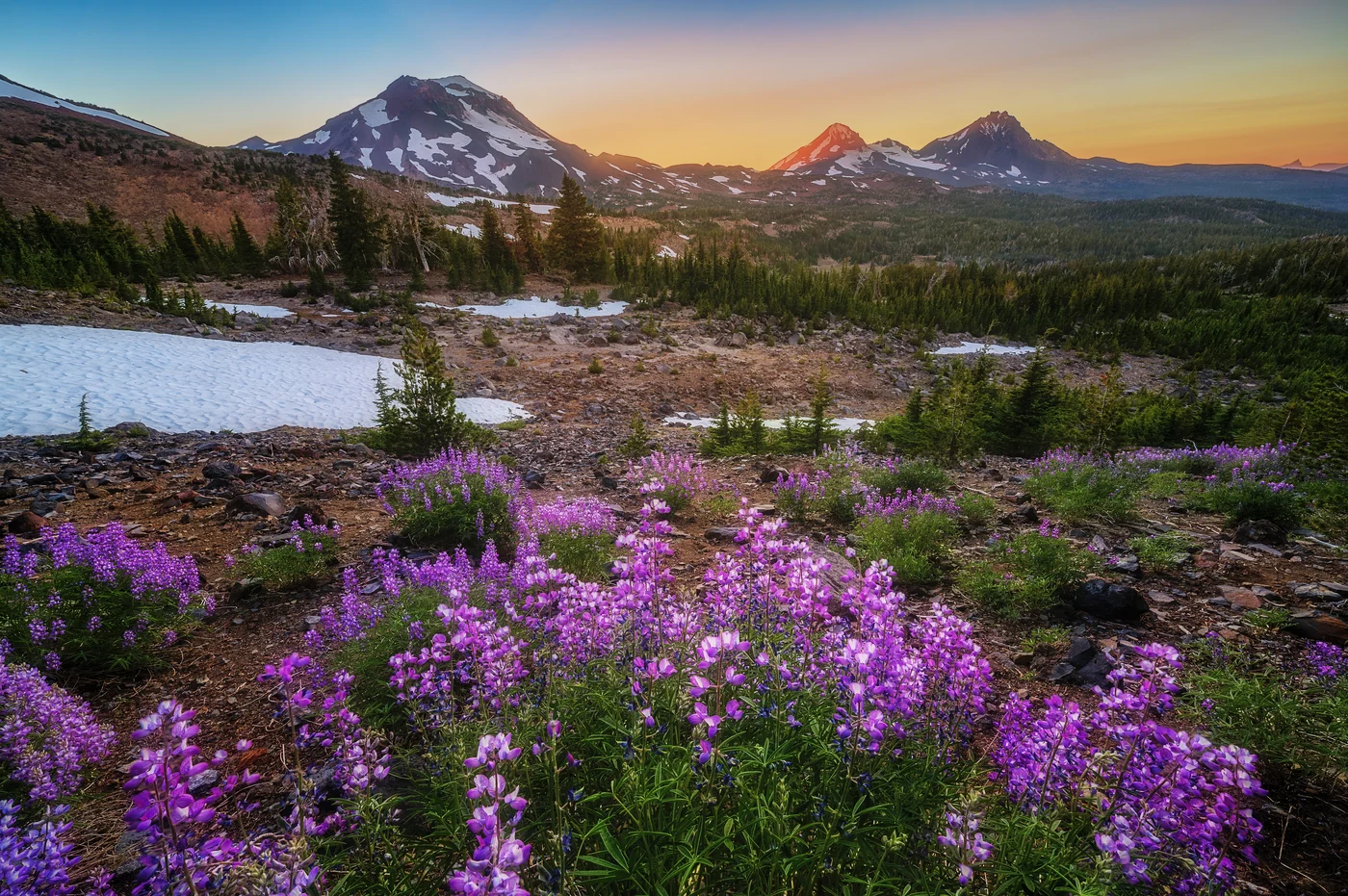 Landscapes 10