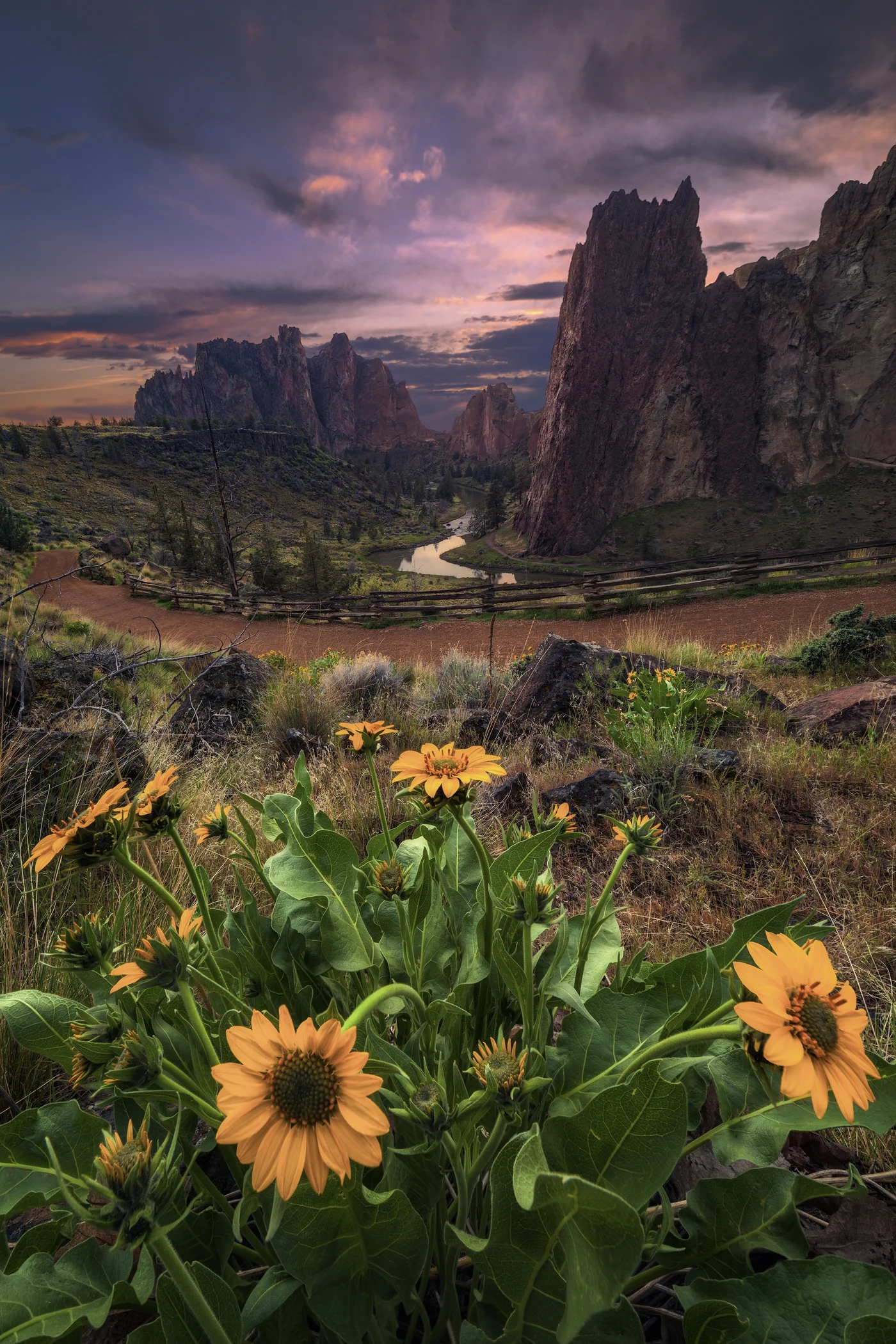Landscapes 14