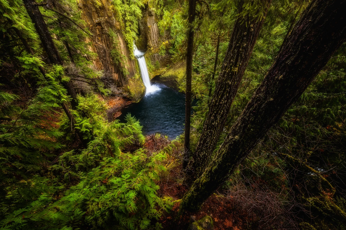 Landscapes 15
